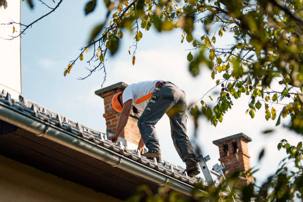 Best Local Roofing Companies  in Ellsworth, WI